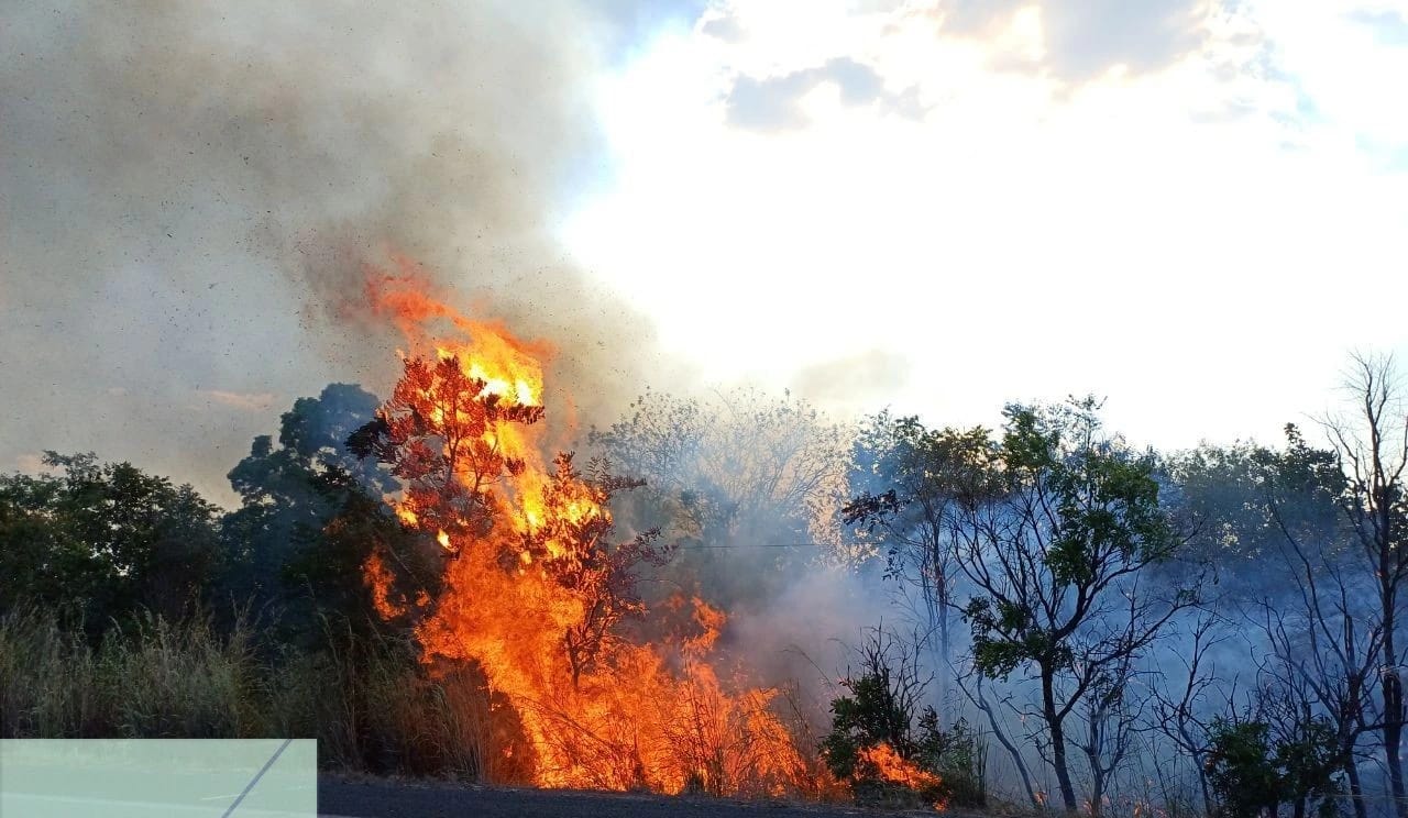 “B-R-O-BRÓ” E QUEIMADAS: O DESAFIO DO CALOR EXTREMO E O IMPACTO NA CONECTIVIDADE